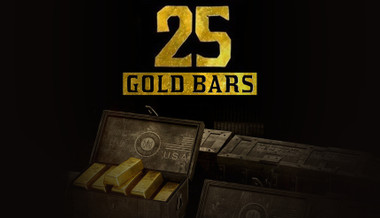 25 Gold Bars