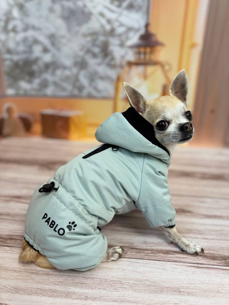 Custom Dog Puffer Coat: Waterproof Winter Romper with Hood