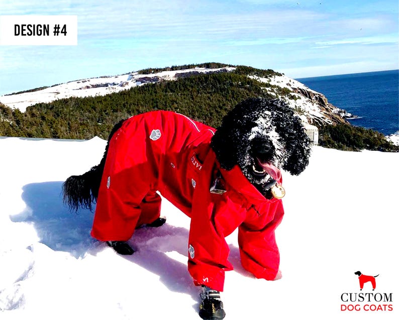 CUSTOM FIT! Dog Winter Clothes Custom Made Dog Pet Snowsuit Winter Full Body Jacket Coat Warm Large 