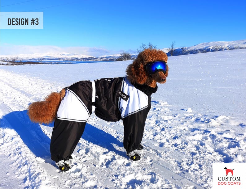 CUSTOM FIT! Dog Winter Clothes Dog Pet Snowsuit Winter Full Body Jacket Coat Warm Large Breed with A