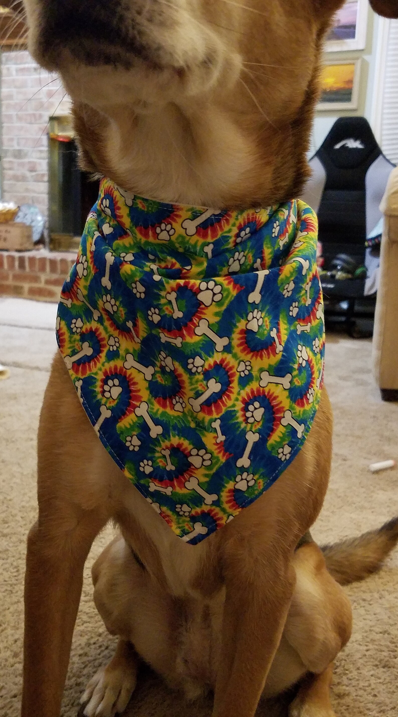 Tie-Dye Bandana for Hund - Fargerikt Tilbehør med Bensmønster